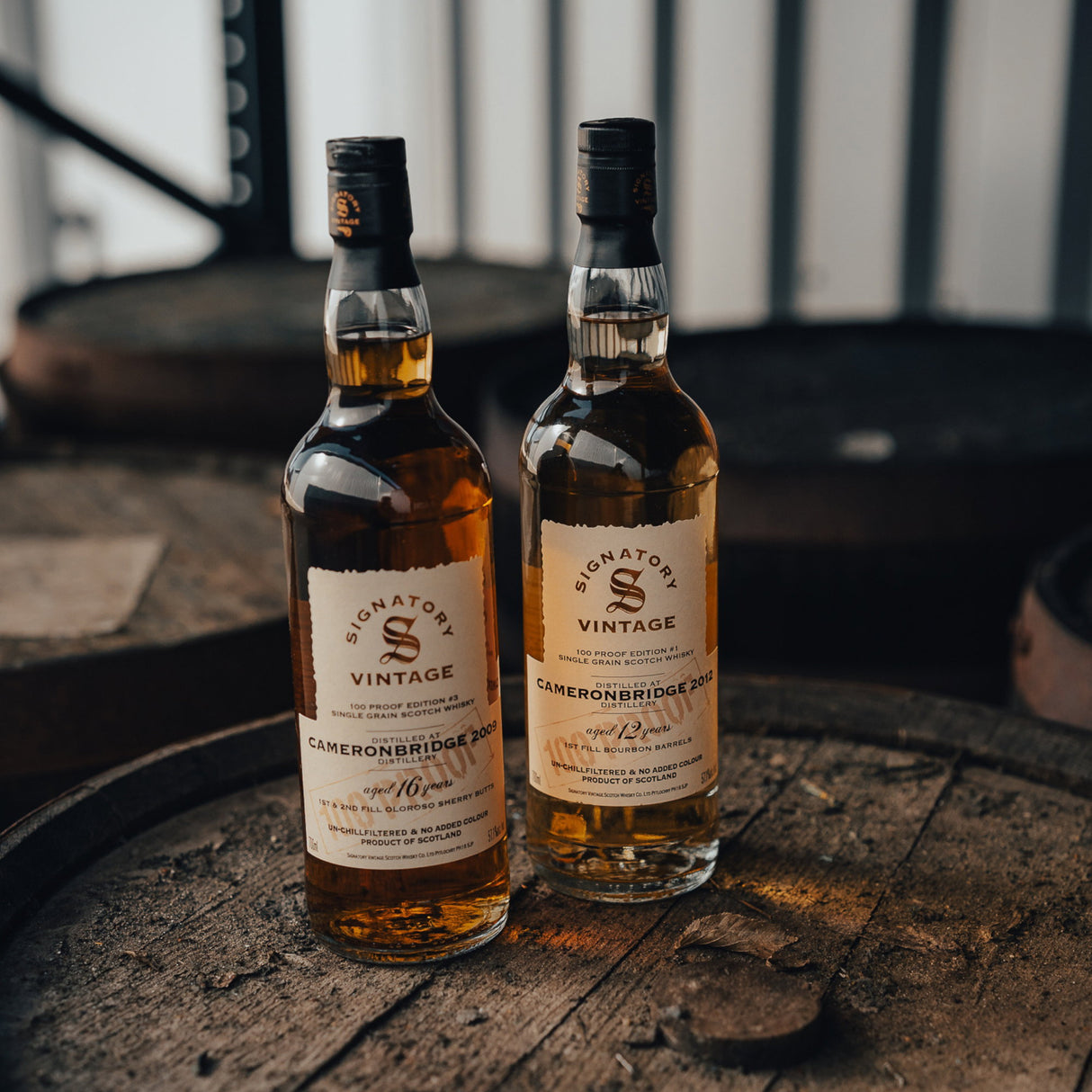 Cameronbridge 2009/2025 – 16 J. Signatory Vintage 100 Proof Grain Edition #3 | Lowlands Single Grain